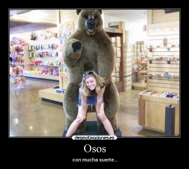 Osos -