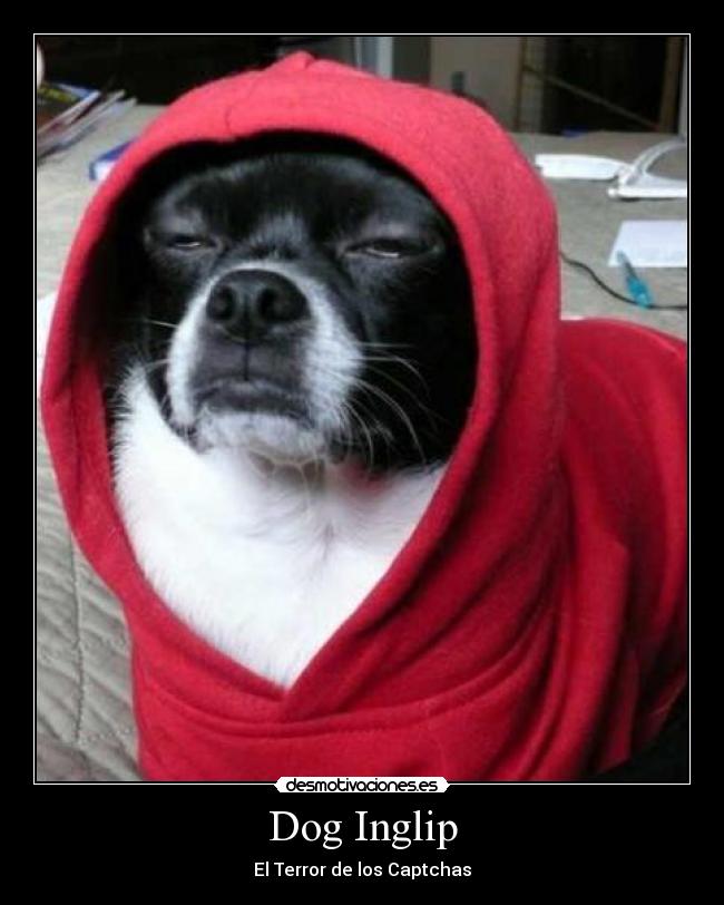 Dog Inglip -