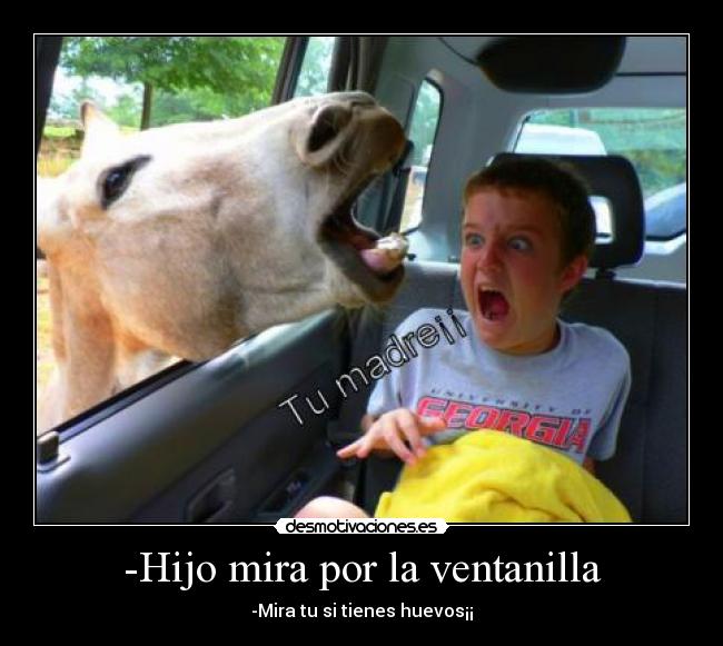 -Hijo mira por la ventanilla - -Mira tu si tienes huevos¡¡