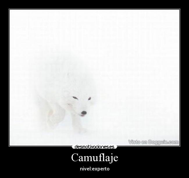 Camuflaje -