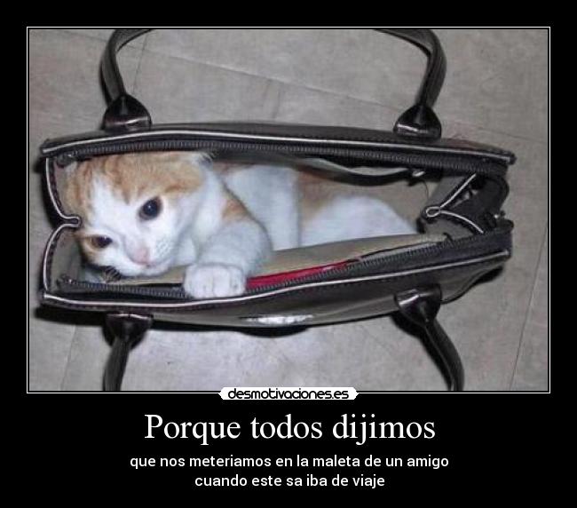 Porque todos dijimos - 