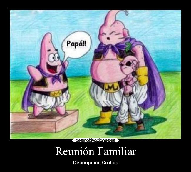 Reunión Familiar - Descripción Gráfica