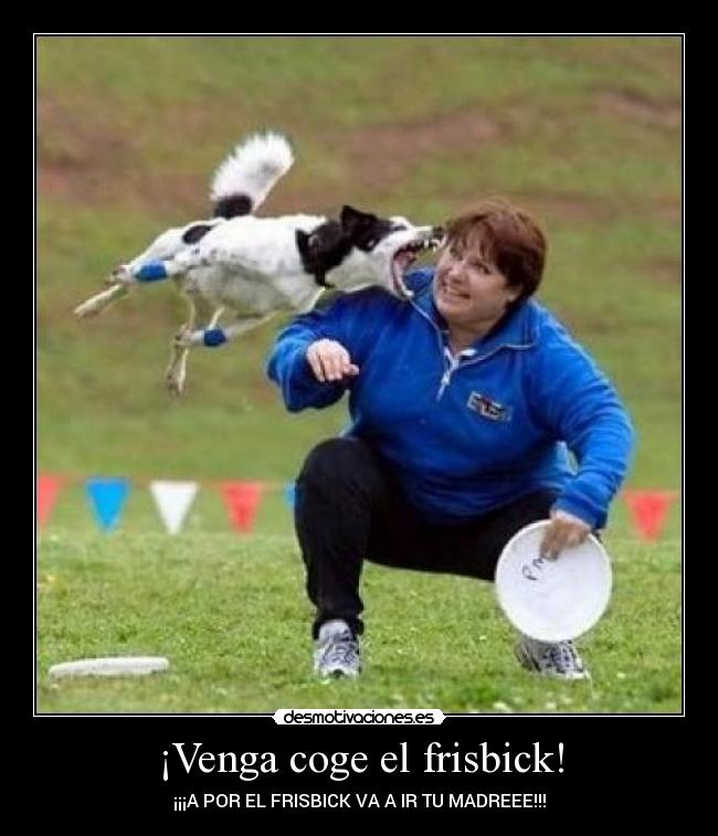¡Venga coge el frisbick! -