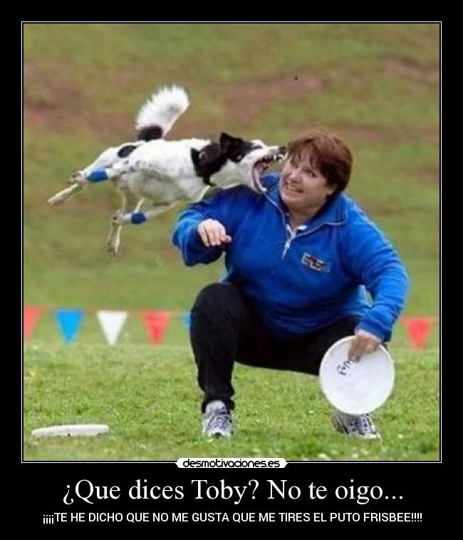 ¿Que dices Toby? No te oigo... - 