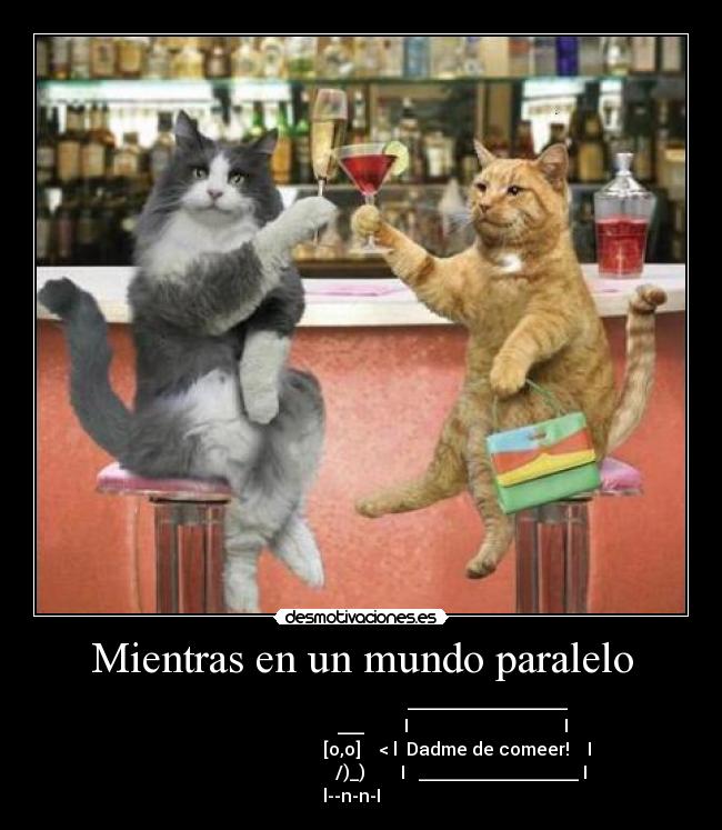 Mientras en un mundo paralelo -