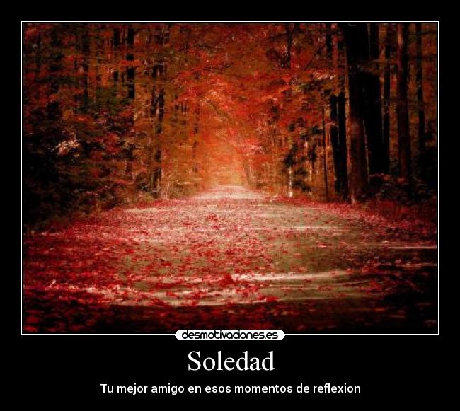 Soledad - Tu mejor amigo en esos momentos de reflexion