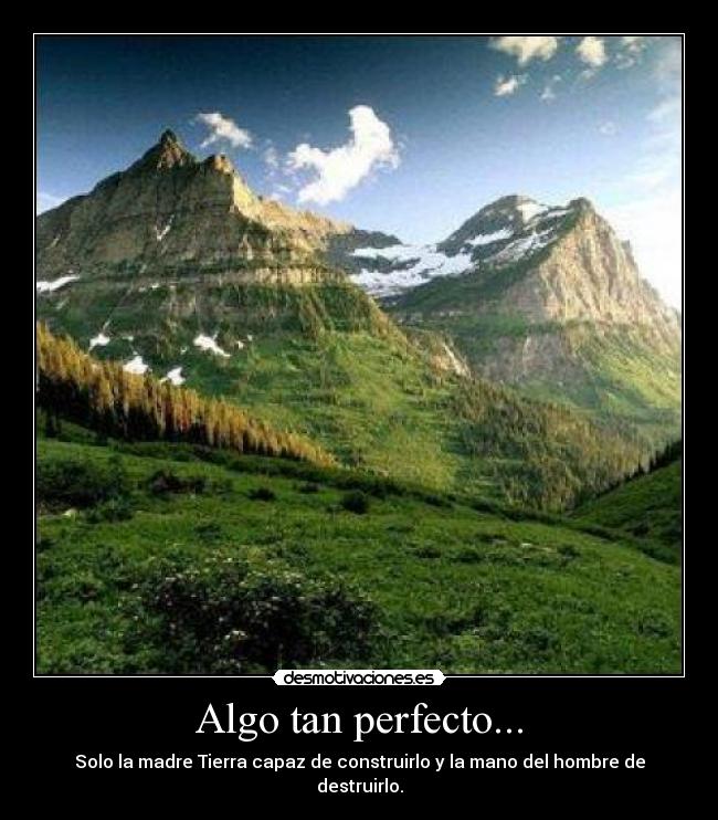 Algo tan perfecto... -