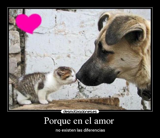 Porque en el amor -