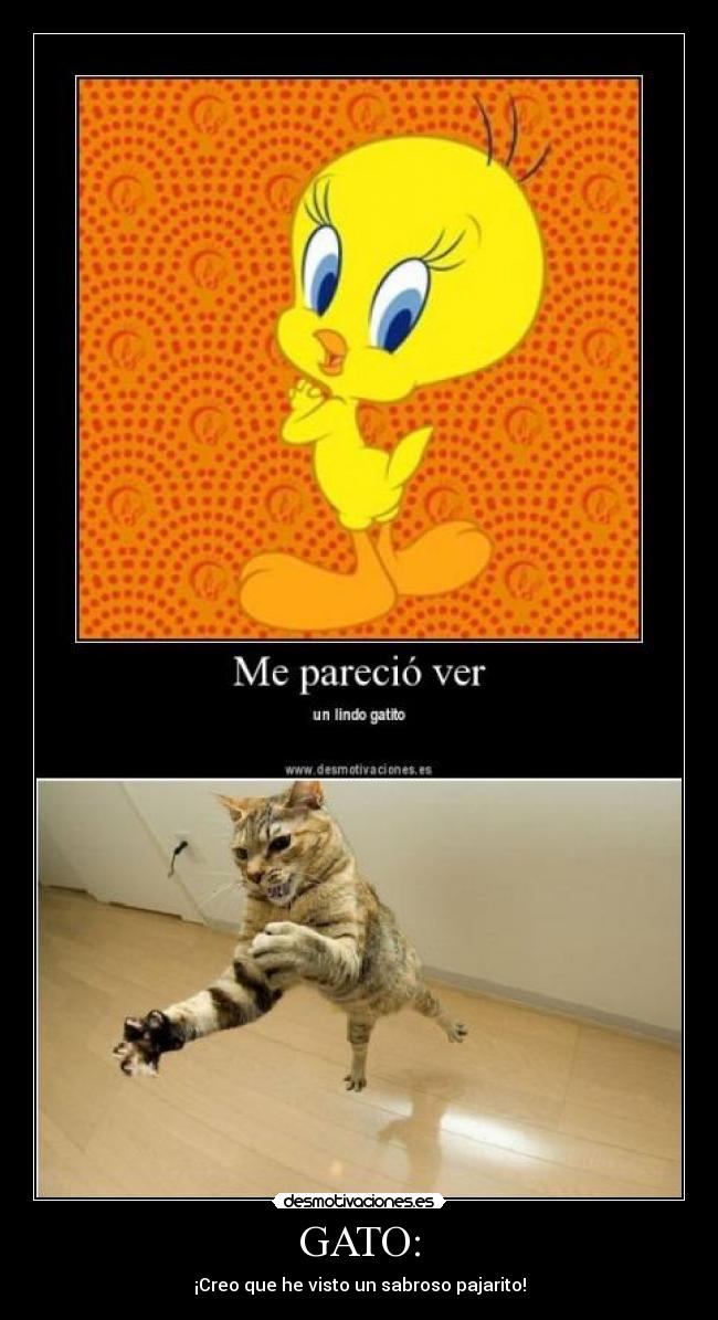 GATO: - ¡Creo que he visto un sabroso pajarito!