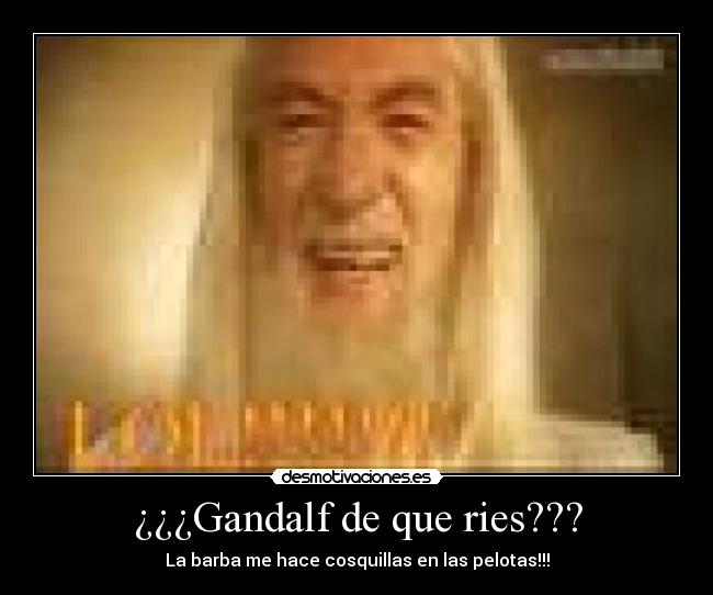 ¿¿¿Gandalf de que ries??? -