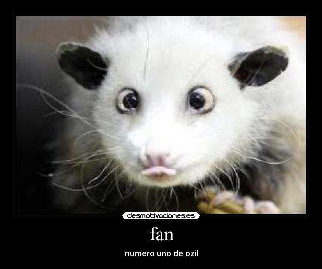 fan - numero uno de ozil
