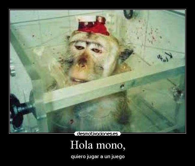 Hola mono, -