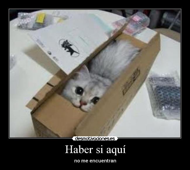 Haber si aquí - no me encuentran