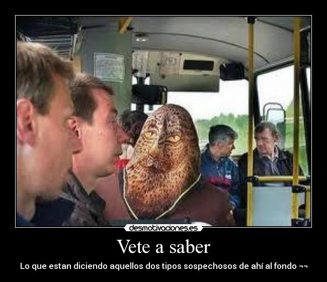 carteles vete saber desmotivaciones