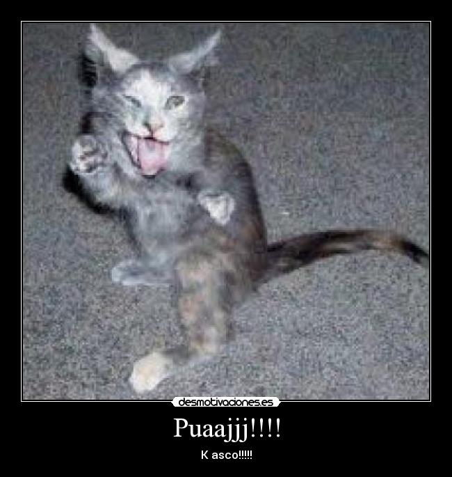 Puaajjj!!!! - K asco!!!!!