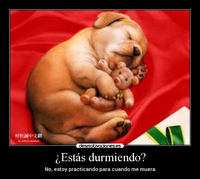 ¿Estás durmiendo? - No, estoy practicando para cuando me muera