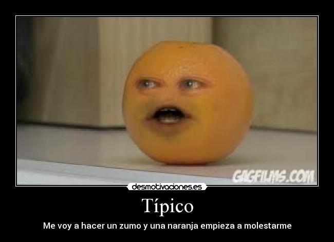 Típico - Me voy a hacer un zumo y una naranja empieza a molestarme