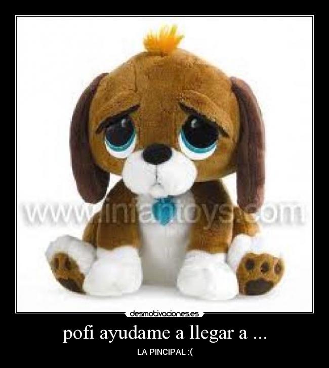 pofi ayudame a llegar a ... - LA PINCIPAL :(
