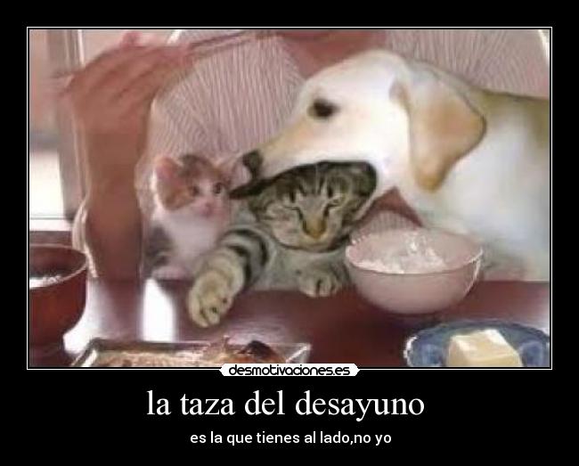 la taza del desayuno - es la que tienes al lado,no yo