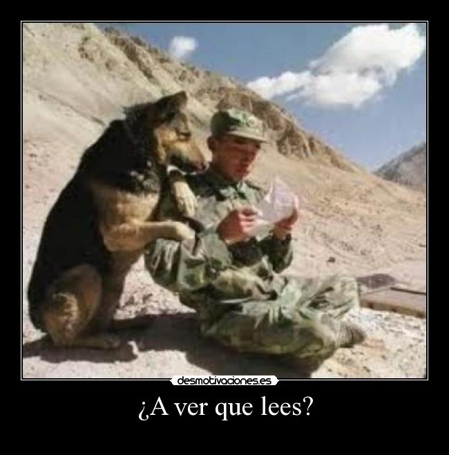 ¿A ver que lees? -
