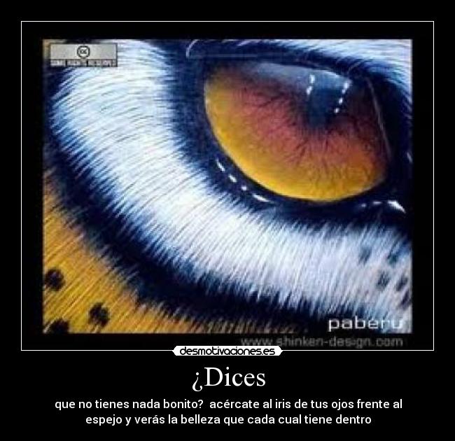 ¿Dices - 