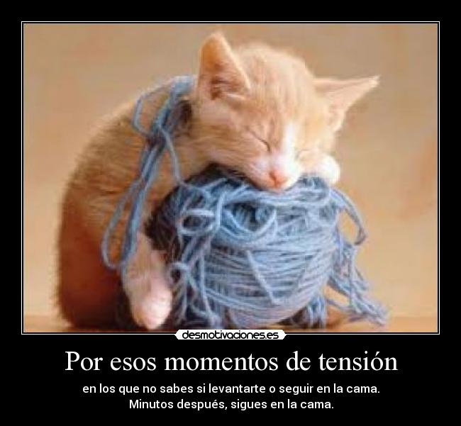 carteles alguiensinnombre desmotivaciones