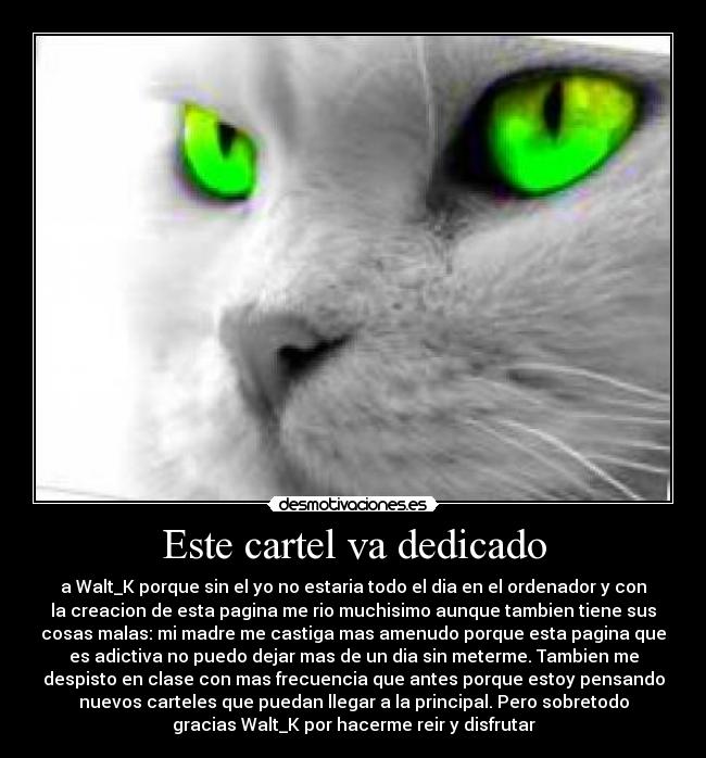 carteles mojichuyo desmotivaciones