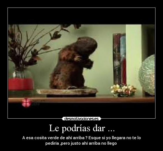 Le podrías dar ... - A esa cosita verde de ahí arriba ? Esque si yo llegara no te lo
pediría ,pero justo ahí arriba no llego