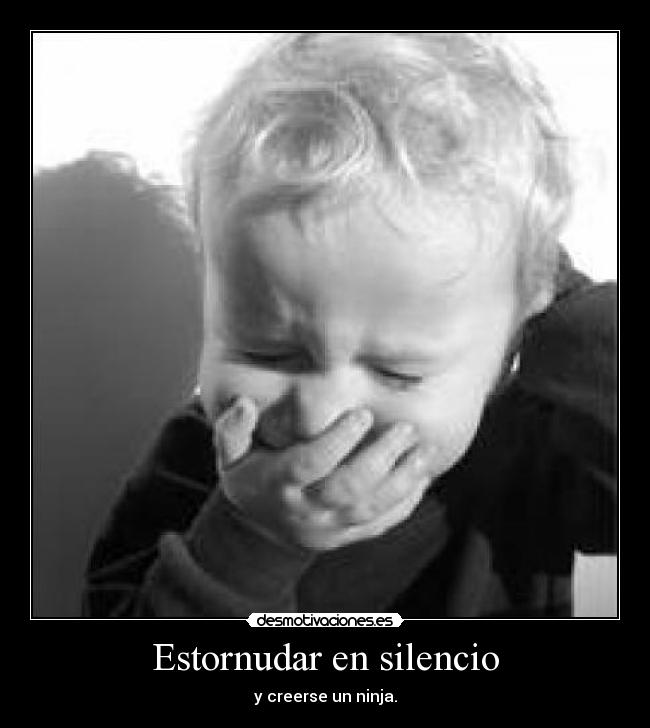 Estornudar en silencio -