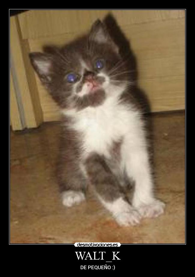 carteles gdfgfdgdsfgdfgsdfgdsf desmotivaciones