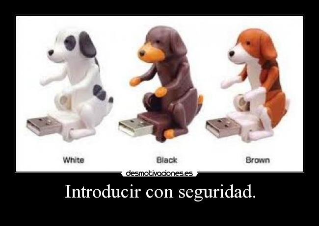 Introducir con seguridad. -