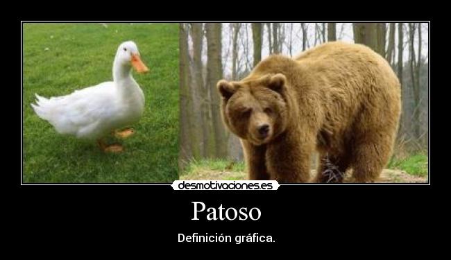 Patoso - Definición gráfica.