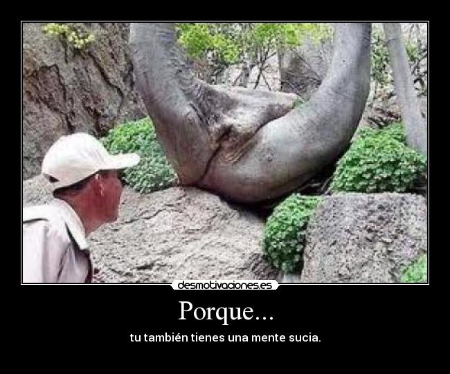 Porque... - 