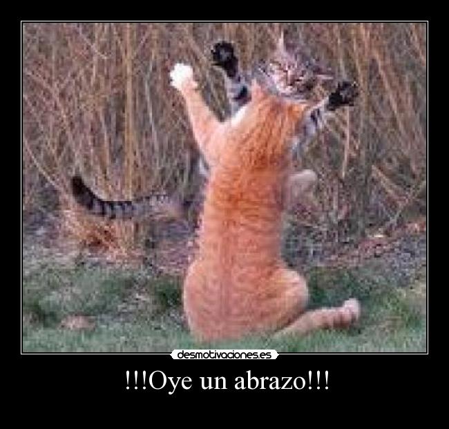 !!!Oye un abrazo!!! -