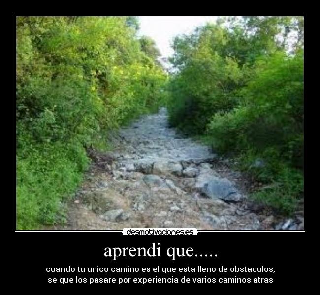 aprendi que..... -