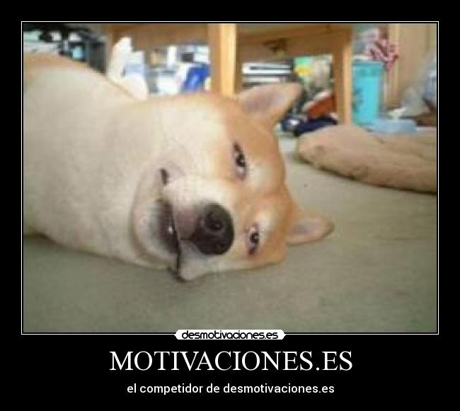 MOTIVACIONES.ES - el competidor de desmotivaciones.es