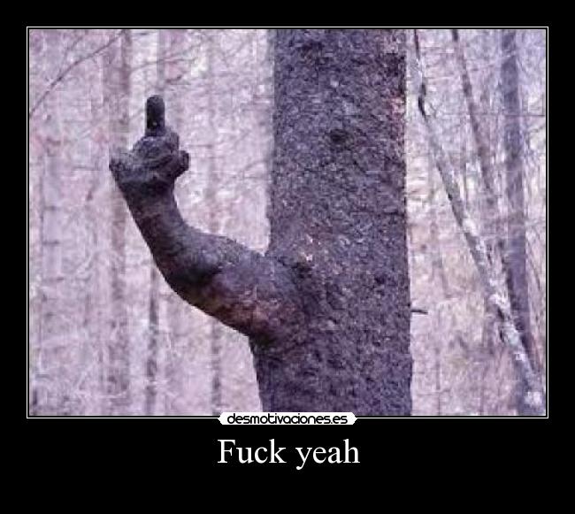 Fuck yeah -