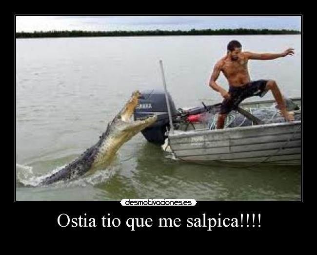 carteles fffd desmotivaciones