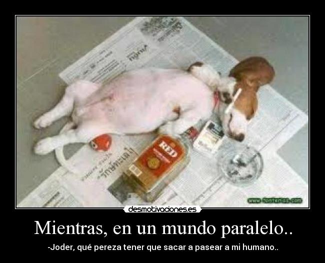 Mientras, en un mundo paralelo.. -