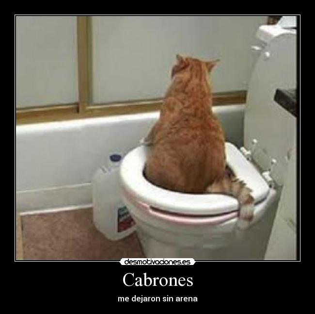 Cabrones -