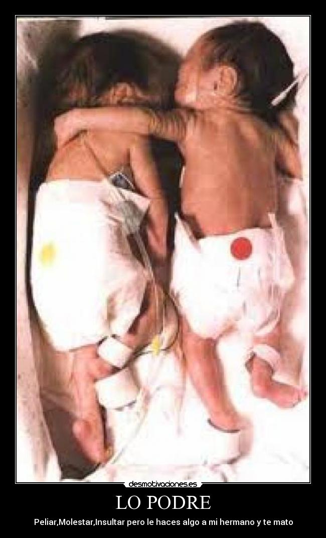 LO PODRE -