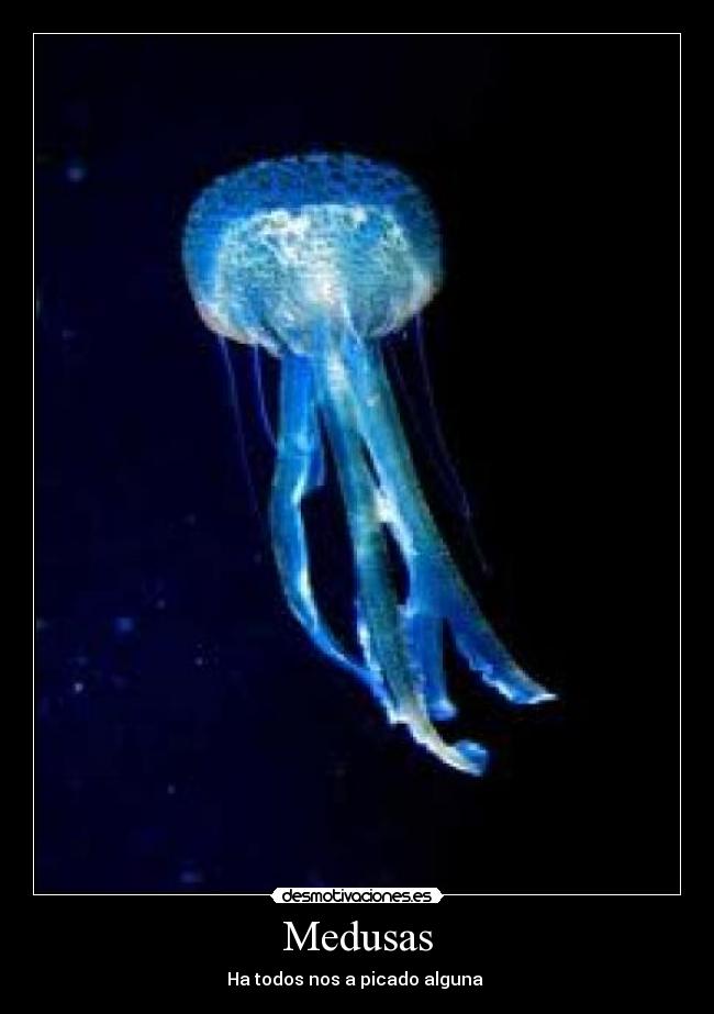 carteles dolor desmotivaciones