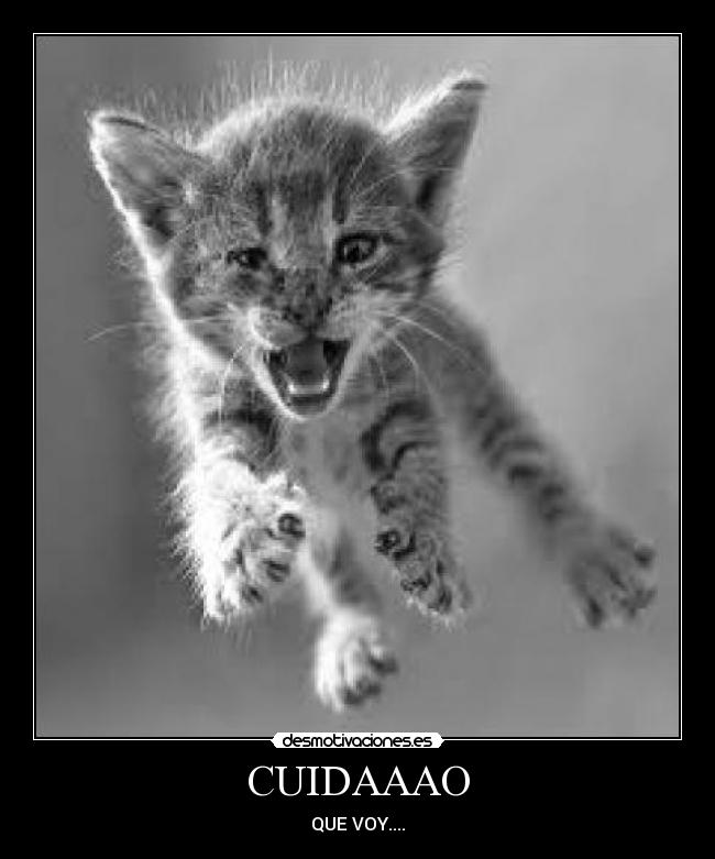 CUIDAAAO - QUE VOY....