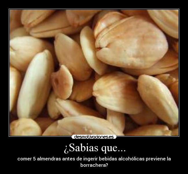 ¿Sabias que... - comer 5 almendras antes de ingerir bebidas alcohólicas previene la borrachera?
