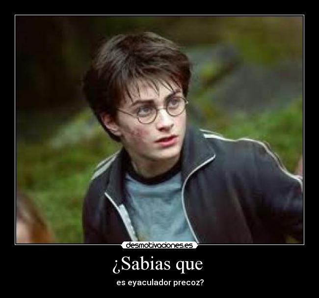 carteles harry potter desmotivaciones