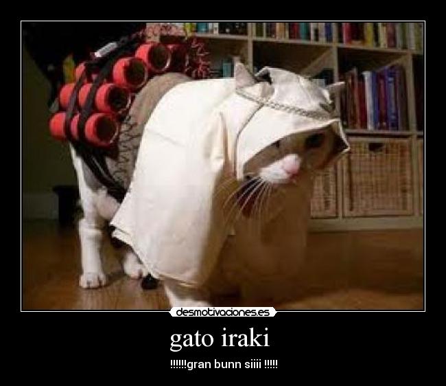 gato iraki -