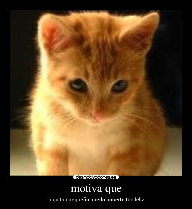 carteles 3456 desmotivaciones