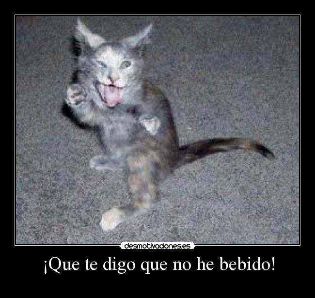¡Que te digo que no he bebido! - 