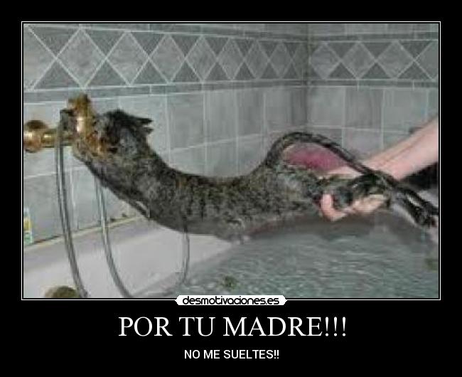POR TU MADRE!!! - NO ME SUELTES!!