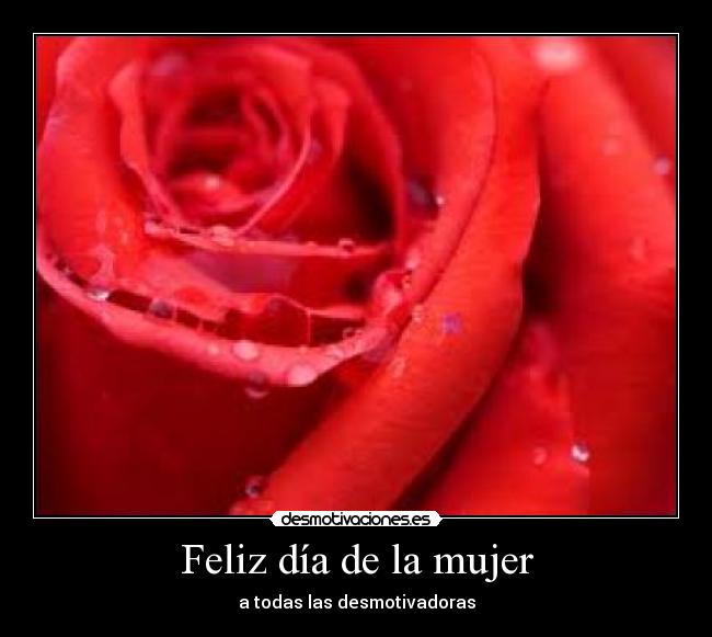 Feliz día de la mujer - 